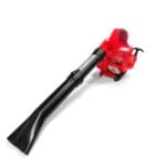 Ramda Sesalnik-Pihalnik Sistem 2V1 / 22,5 Ccm / 0,65 Kw